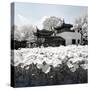 China 10MKm2 Collection - Another Look - Lotus Lake-Philippe Hugonnard-Stretched Canvas