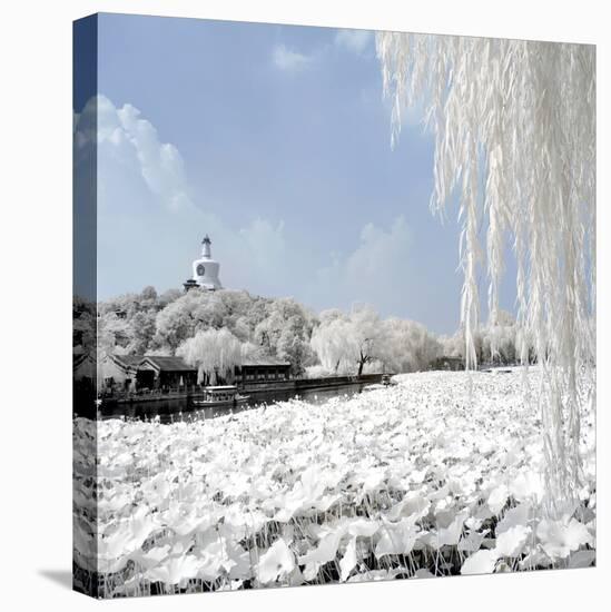 China 10MKm2 Collection - Another Look - Lotus Lake-Philippe Hugonnard-Stretched Canvas