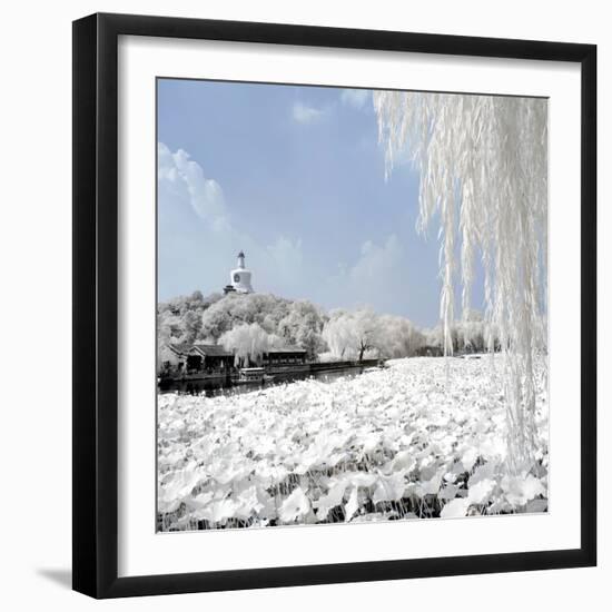 China 10MKm2 Collection - Another Look - Lotus Lake-Philippe Hugonnard-Framed Premium Photographic Print