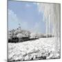 China 10MKm2 Collection - Another Look - Lotus Lake-Philippe Hugonnard-Mounted Photographic Print