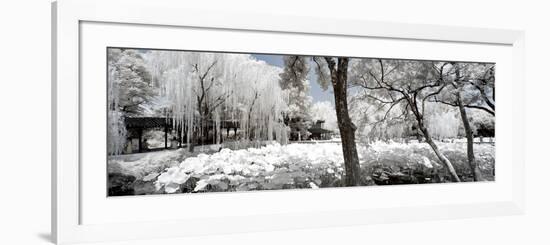 China 10MKm2 Collection - Another Look - Lotus Park-Philippe Hugonnard-Framed Photographic Print