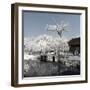 China 10MKm2 Collection - Another Look - Lotus Park-Philippe Hugonnard-Framed Photographic Print