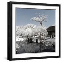 China 10MKm2 Collection - Another Look - Lotus Park-Philippe Hugonnard-Framed Photographic Print