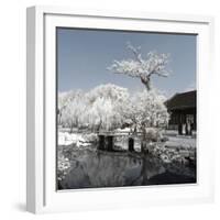 China 10MKm2 Collection - Another Look - Lotus Park-Philippe Hugonnard-Framed Photographic Print