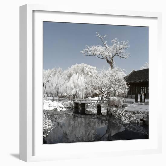 China 10MKm2 Collection - Another Look - Lotus Park-Philippe Hugonnard-Framed Photographic Print