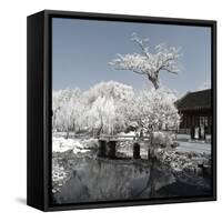 China 10MKm2 Collection - Another Look - Lotus Park-Philippe Hugonnard-Framed Stretched Canvas