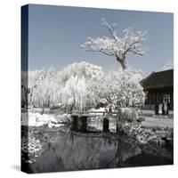 China 10MKm2 Collection - Another Look - Lotus Park-Philippe Hugonnard-Stretched Canvas