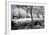 China 10MKm2 Collection - Another Look - Lotus Park-Philippe Hugonnard-Framed Photographic Print