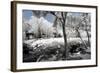 China 10MKm2 Collection - Another Look - Lotus Park-Philippe Hugonnard-Framed Photographic Print