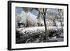 China 10MKm2 Collection - Another Look - Lotus Park-Philippe Hugonnard-Framed Photographic Print