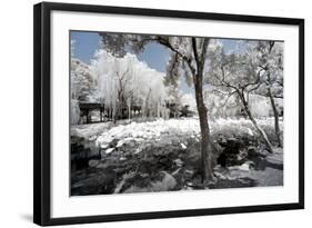 China 10MKm2 Collection - Another Look - Lotus Park-Philippe Hugonnard-Framed Photographic Print