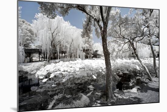 China 10MKm2 Collection - Another Look - Lotus Park-Philippe Hugonnard-Mounted Photographic Print