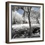 China 10MKm2 Collection - Another Look - Lotus Park-Philippe Hugonnard-Framed Photographic Print