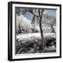 China 10MKm2 Collection - Another Look - Lotus Park-Philippe Hugonnard-Framed Photographic Print