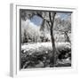 China 10MKm2 Collection - Another Look - Lotus Park-Philippe Hugonnard-Framed Photographic Print