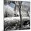 China 10MKm2 Collection - Another Look - Lotus Park-Philippe Hugonnard-Mounted Photographic Print