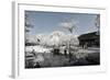 China 10MKm2 Collection - Another Look - Lotus Park-Philippe Hugonnard-Framed Photographic Print