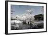 China 10MKm2 Collection - Another Look - Lotus Park-Philippe Hugonnard-Framed Photographic Print
