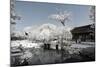 China 10MKm2 Collection - Another Look - Lotus Park-Philippe Hugonnard-Mounted Photographic Print