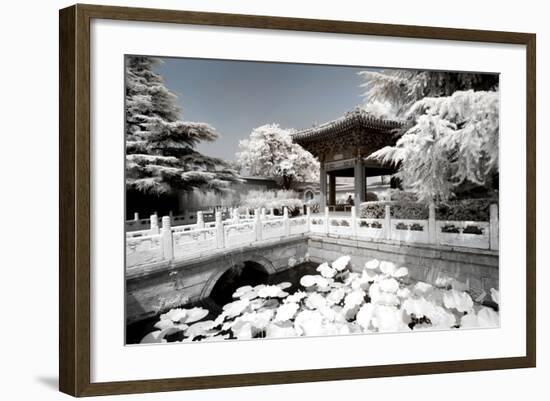 China 10MKm2 Collection - Another Look - Lotus Temple-Philippe Hugonnard-Framed Photographic Print