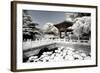 China 10MKm2 Collection - Another Look - Lotus Temple-Philippe Hugonnard-Framed Photographic Print