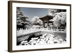 China 10MKm2 Collection - Another Look - Lotus Temple-Philippe Hugonnard-Framed Photographic Print