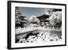 China 10MKm2 Collection - Another Look - Lotus Temple-Philippe Hugonnard-Framed Photographic Print