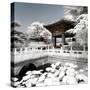 China 10MKm2 Collection - Another Look - Lotus Temple-Philippe Hugonnard-Stretched Canvas