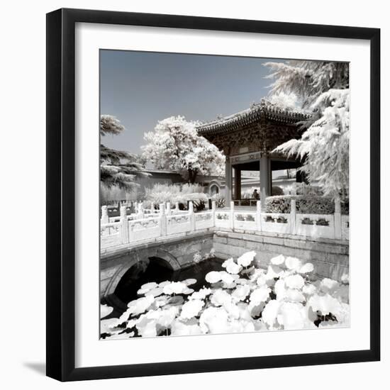 China 10MKm2 Collection - Another Look - Lotus Temple-Philippe Hugonnard-Framed Photographic Print