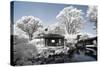 China 10MKm2 Collection - Another Look - Park Temple-Philippe Hugonnard-Stretched Canvas