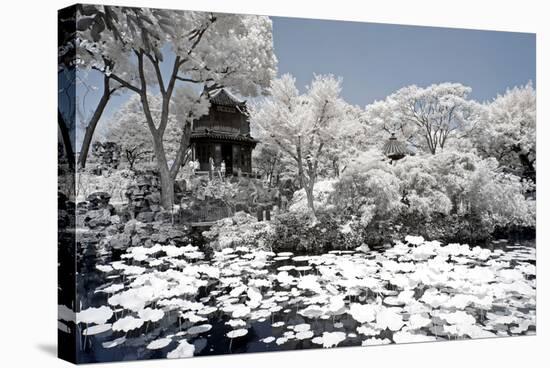 China 10MKm2 Collection - Another Look - Park Temple-Philippe Hugonnard-Stretched Canvas