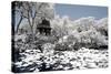 China 10MKm2 Collection - Another Look - Park Temple-Philippe Hugonnard-Stretched Canvas