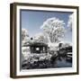 China 10MKm2 Collection - Another Look - Park Temple-Philippe Hugonnard-Framed Photographic Print