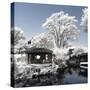 China 10MKm2 Collection - Another Look - Park Temple-Philippe Hugonnard-Stretched Canvas