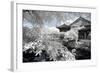 China 10MKm2 Collection - Another Look - Park Temple-Philippe Hugonnard-Framed Photographic Print