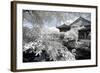 China 10MKm2 Collection - Another Look - Park Temple-Philippe Hugonnard-Framed Photographic Print