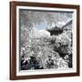 China 10MKm2 Collection - Another Look - Park Temple-Philippe Hugonnard-Framed Photographic Print