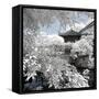 China 10MKm2 Collection - Another Look - Park Temple-Philippe Hugonnard-Framed Stretched Canvas