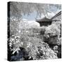 China 10MKm2 Collection - Another Look - Park Temple-Philippe Hugonnard-Stretched Canvas