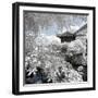 China 10MKm2 Collection - Another Look - Park Temple-Philippe Hugonnard-Framed Photographic Print