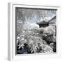 China 10MKm2 Collection - Another Look - Park Temple-Philippe Hugonnard-Framed Photographic Print