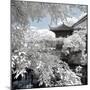 China 10MKm2 Collection - Another Look - Park Temple-Philippe Hugonnard-Mounted Photographic Print