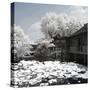 China 10MKm2 Collection - Another Look - Park Temple-Philippe Hugonnard-Stretched Canvas