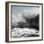 China 10MKm2 Collection - Another Look - Park Temple-Philippe Hugonnard-Framed Photographic Print