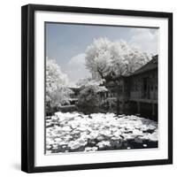 China 10MKm2 Collection - Another Look - Park Temple-Philippe Hugonnard-Framed Photographic Print