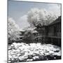 China 10MKm2 Collection - Another Look - Park Temple-Philippe Hugonnard-Mounted Photographic Print