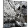 China 10MKm2 Collection - Another Look - Peaceful Life-Philippe Hugonnard-Mounted Photographic Print