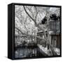 China 10MKm2 Collection - Another Look - Peaceful Life-Philippe Hugonnard-Framed Stretched Canvas