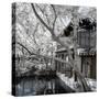 China 10MKm2 Collection - Another Look - Peaceful Life-Philippe Hugonnard-Stretched Canvas