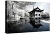 China 10MKm2 Collection - Another Look - Reflection of Temple-Philippe Hugonnard-Stretched Canvas